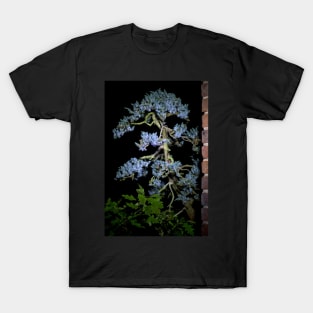 Bonsai Juniperus Meyeri At Night T-Shirt